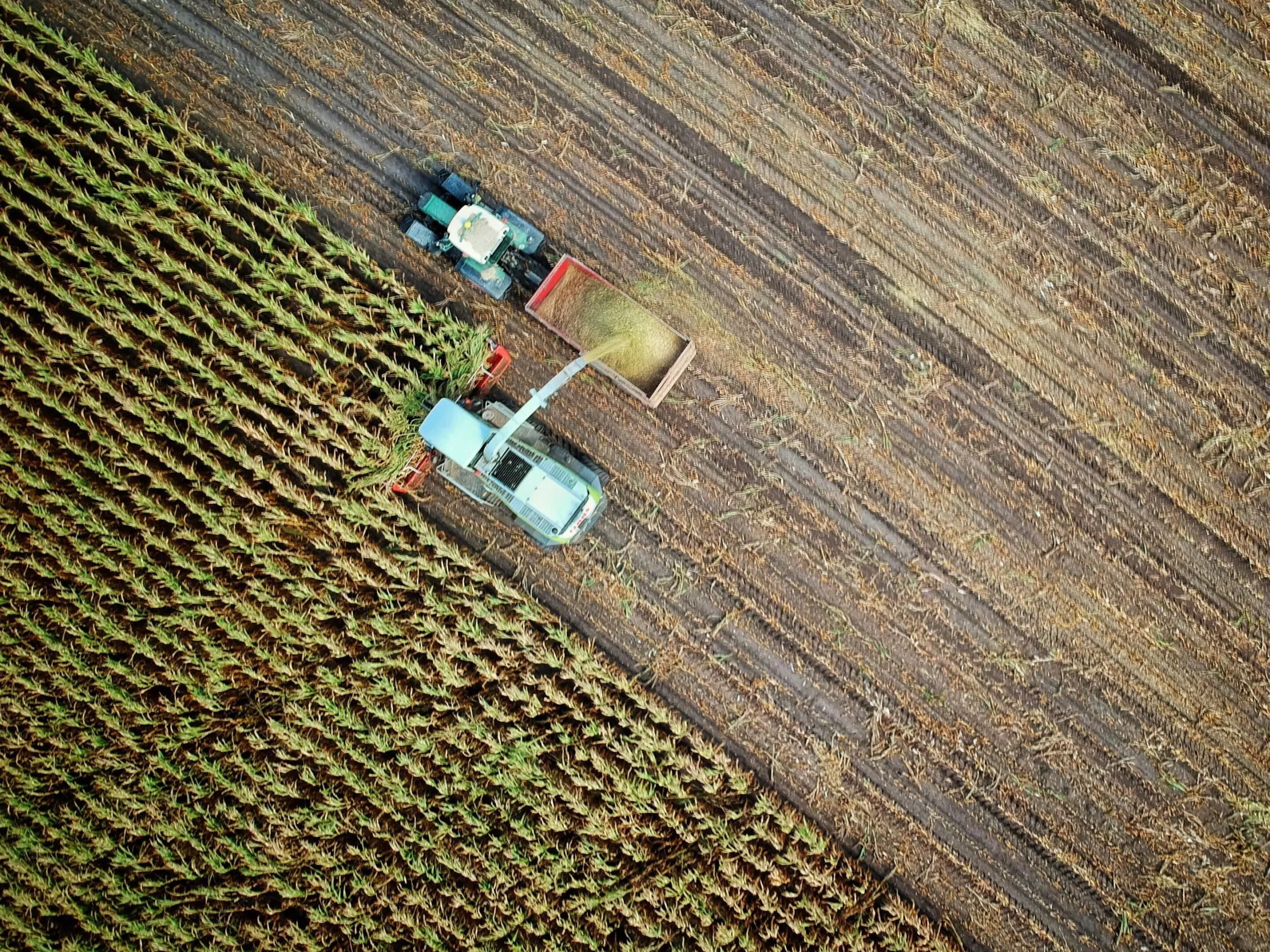 Drone foto platteland